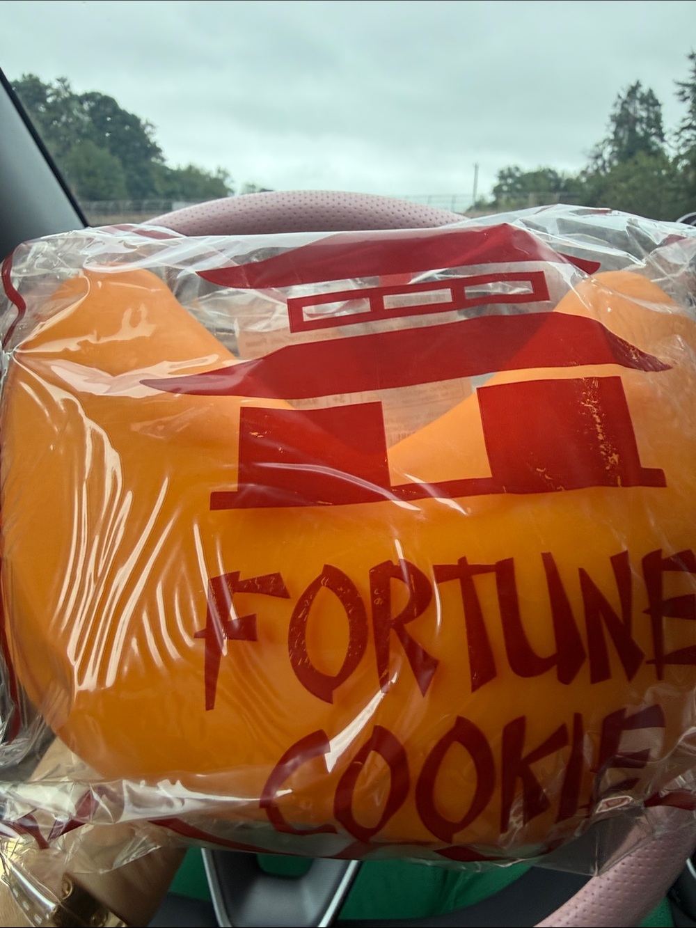 Jumbo Fortune Cookie Squishy rare hard find
